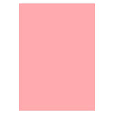 Aperturee - Simple Pink Solid Color Photo Booth Backdrop For Studio